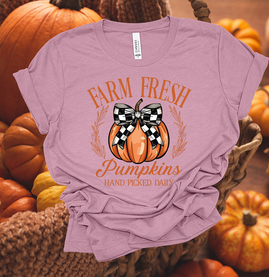 Checkered Fresh Pumpkin